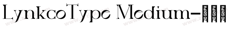 LynkcoType Medium字体转换